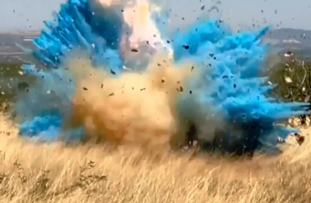 Watch A Border Patrol Agents ‘gender Reveal Party Start A Wildfire